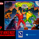 Battletoads and Double Dragon (SNES)